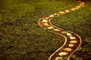 ¿Cómo se desarrolla el proceso de la psicoterapia?